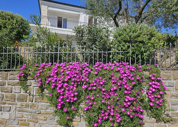 Apartment Solare